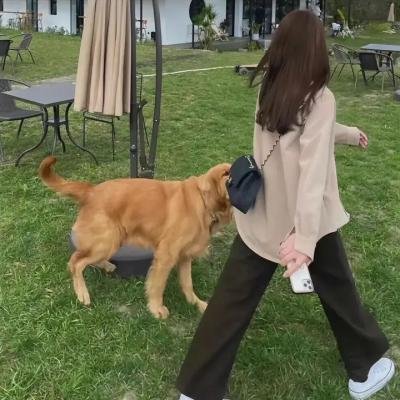 爱情与谎言
